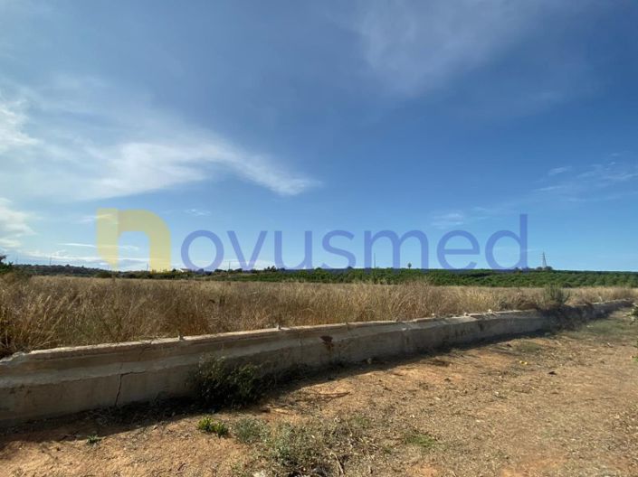 Image No.5-Ferme de 8 chambres à vendre à Olhão