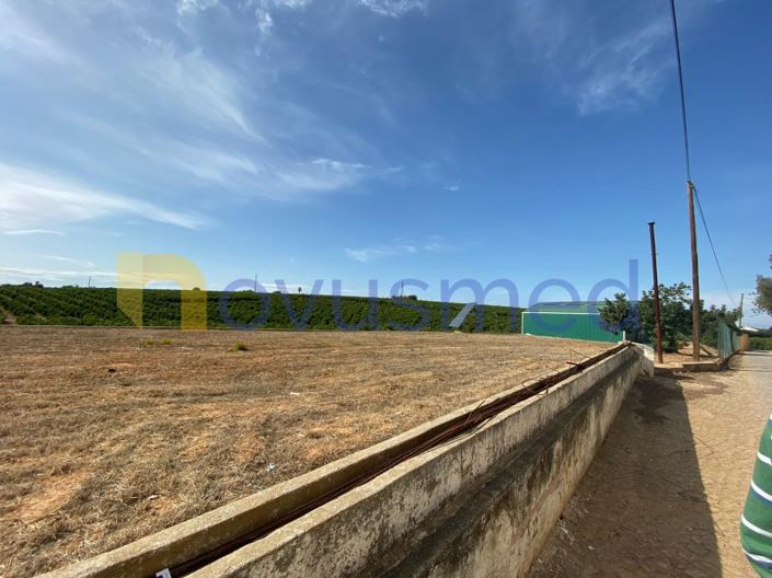 Image No.6-Ferme de 8 chambres à vendre à Olhão