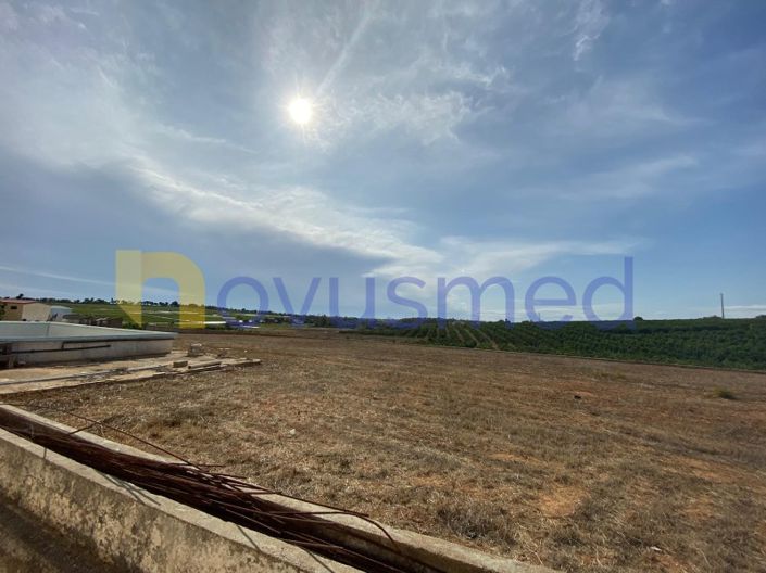 Image No.7-Ferme de 8 chambres à vendre à Olhão