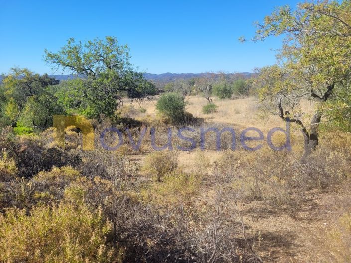 Image No.10-Terrain à vendre à Silves