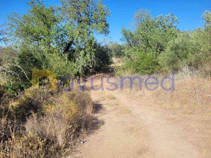 Image No.11-Terrain à vendre à Silves