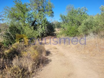 id3f555d01-0000-0500-0000-0000101a1afd