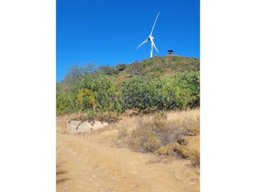 id3f555d01-0000-0500-0000-0000101a1afe