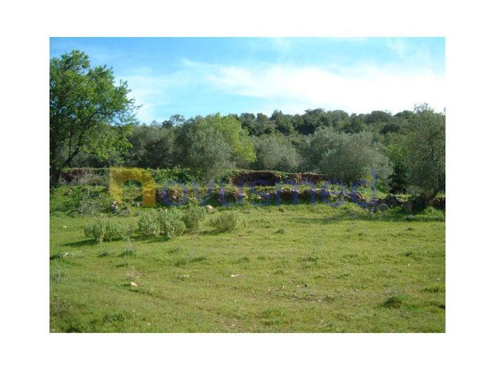Image No.15-Plot for sale