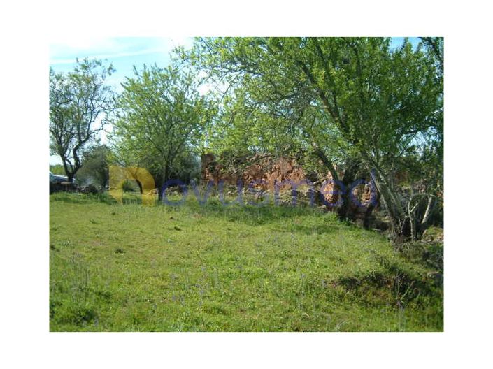 Image No.2-Plot for sale