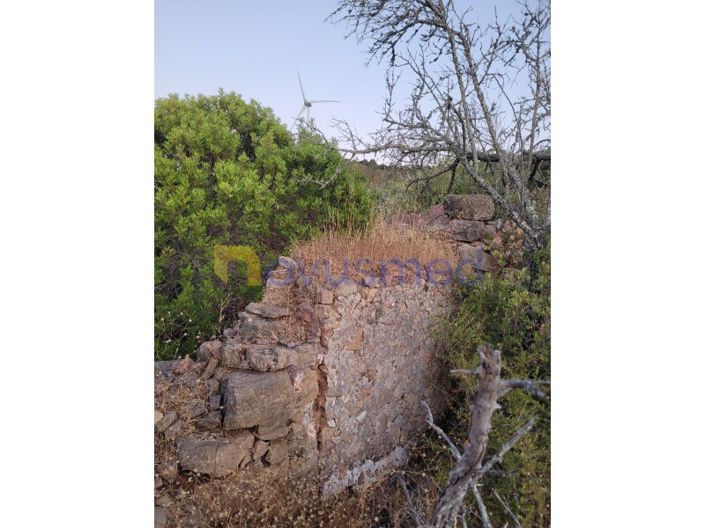 Image No.23-Terrain à vendre à Silves