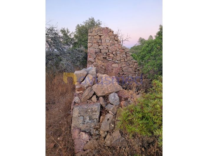 Image No.24-Terrain à vendre à Silves