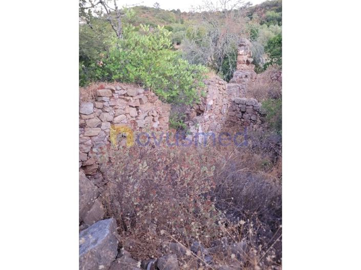 Image No.26-Terrain à vendre à Silves