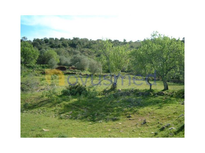 Image No.4-Plot for sale