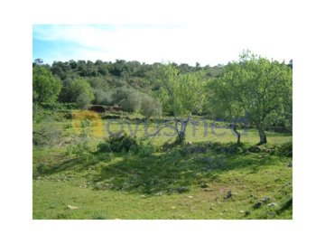 id3f555d01-0000-0500-0000-0000101a1b04