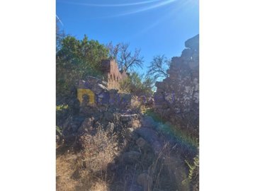 id3f555d01-0000-0500-0000-0000101a1af5