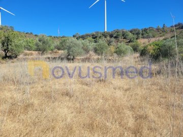 id3f555d01-0000-0500-0000-0000101a1af7