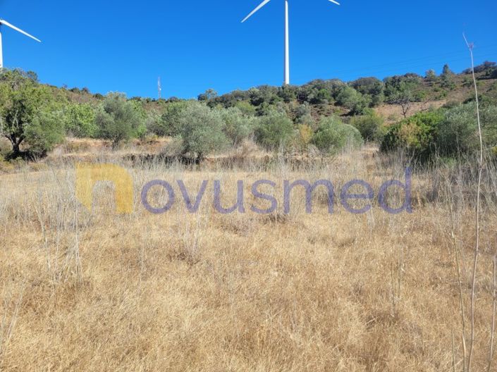 Image No.9-Plot for sale