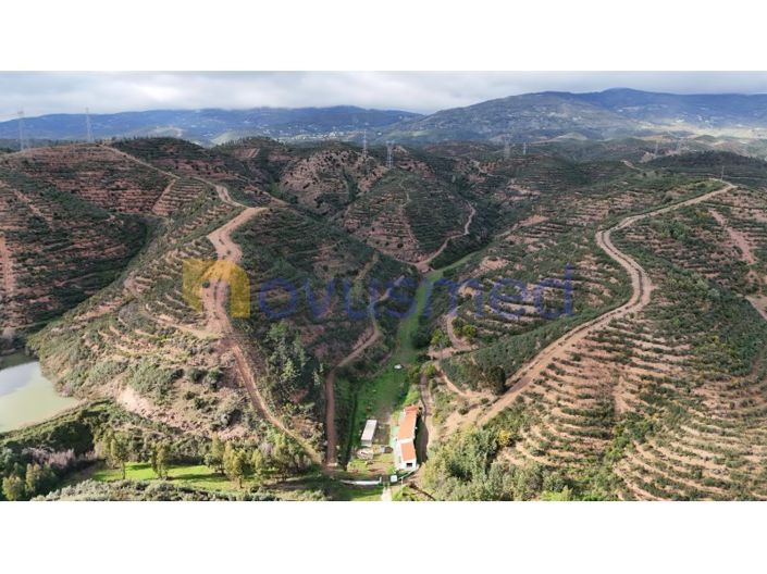 Image No.39-2 Bed Farmhouse for sale