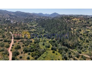 id81d89a01-0000-0500-0000-000015af3010