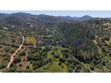 id81d89a01-0000-0500-0000-000015af3014