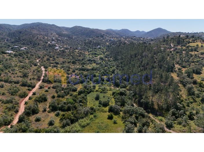Image No.11-Plot for sale