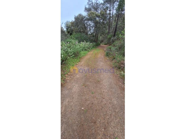 Image No.13-Plot for sale