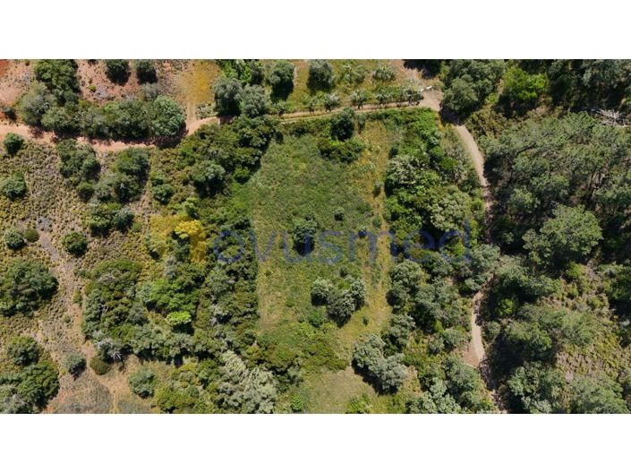 Image No.2-Plot for sale