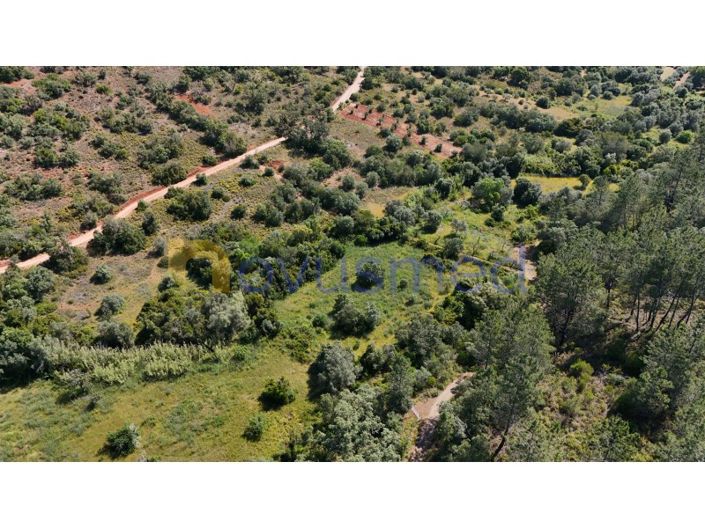 Image No.3-Plot for sale