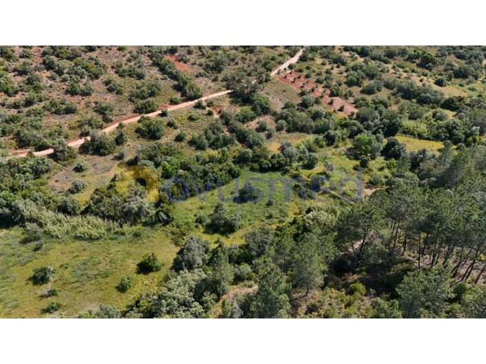 Image No.4-Plot for sale