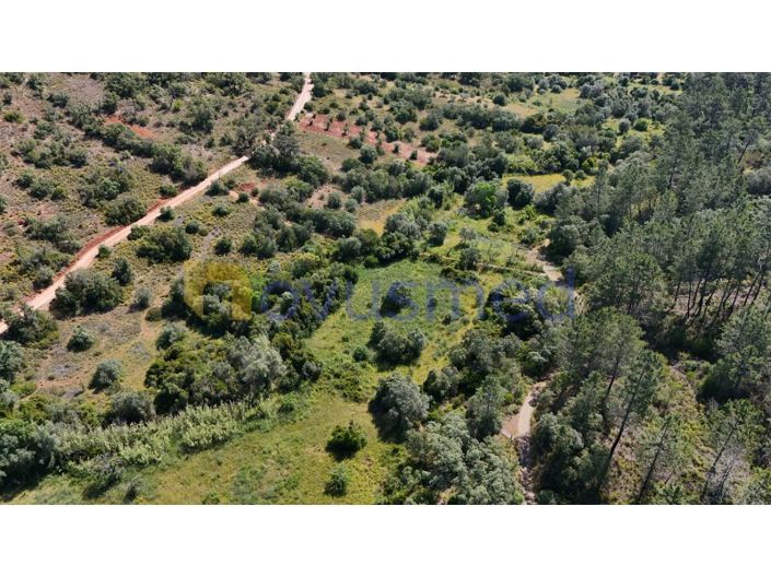 Image No.5-Plot for sale