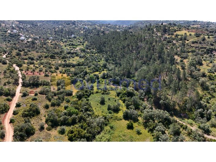 Image No.9-Plot for sale