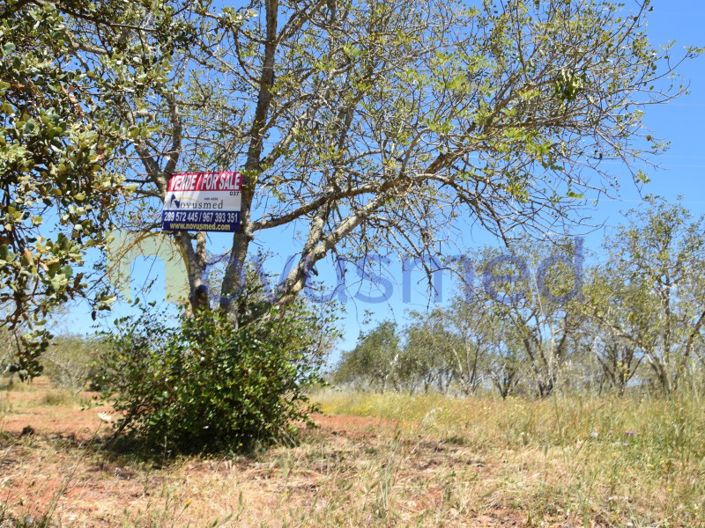 Image No.10-Plot for sale