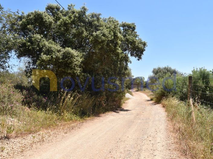 Image No.12-Plot for sale