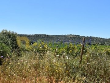 id80bf9c01-0000-0500-0000-000015ac8a62