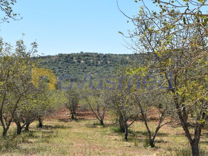 Image No.15-Plot for sale