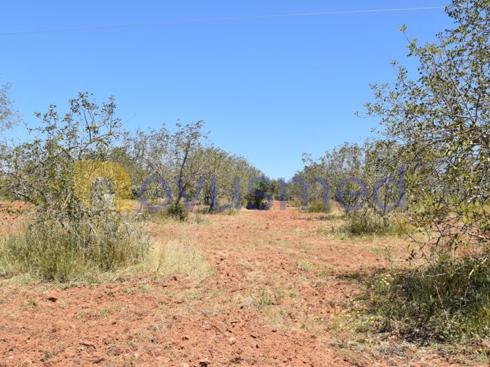 Image No.2-Plot for sale