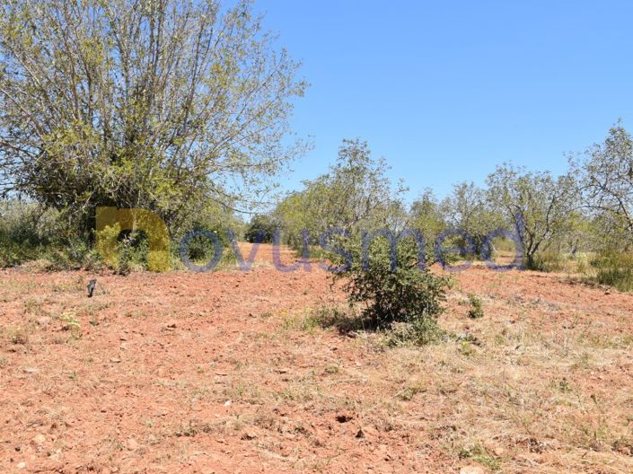 Image No.3-Plot for sale