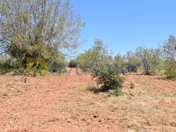 id80bf9c01-0000-0500-0000-000015ac8a43