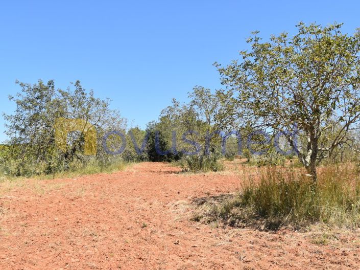 Image No.4-Plot for sale