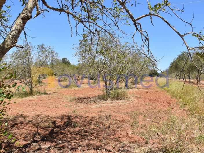 Image No.5-Plot for sale