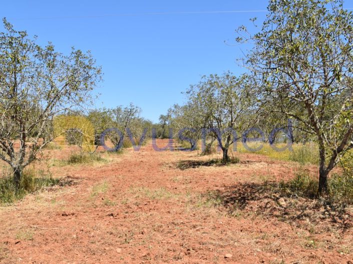 Image No.6-Plot for sale