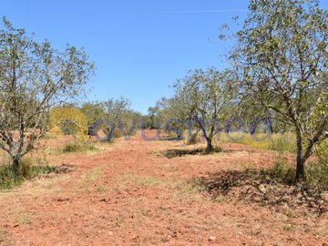 id80bf9c01-0000-0500-0000-000015ac8a41