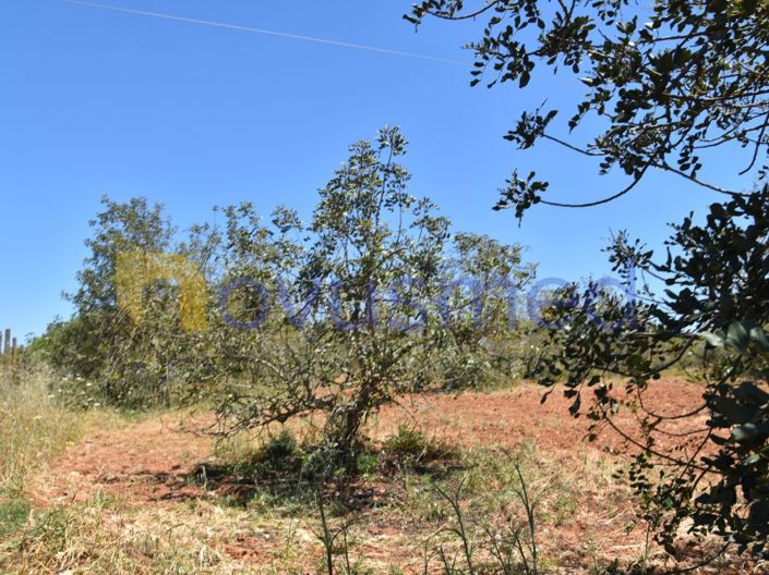 Image No.7-Plot for sale