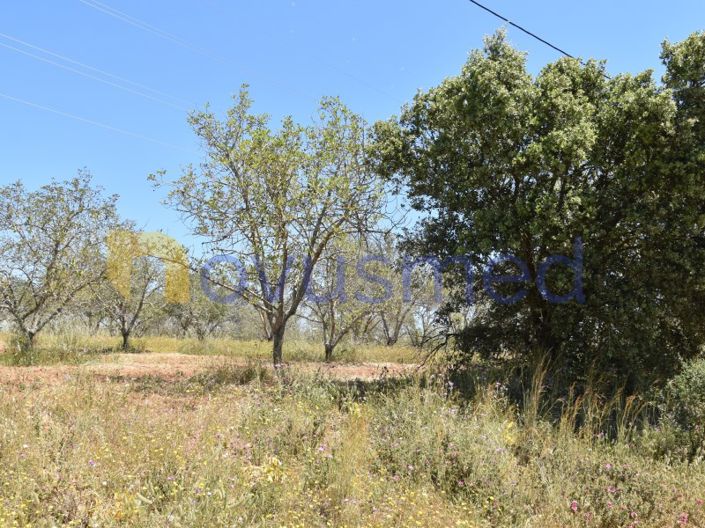 Image No.8-Plot for sale