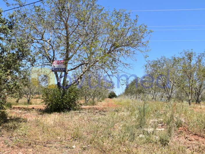 Image No.9-Plot for sale