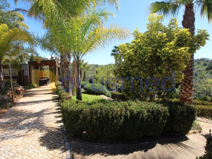 Image No.33-4 Bed House for sale