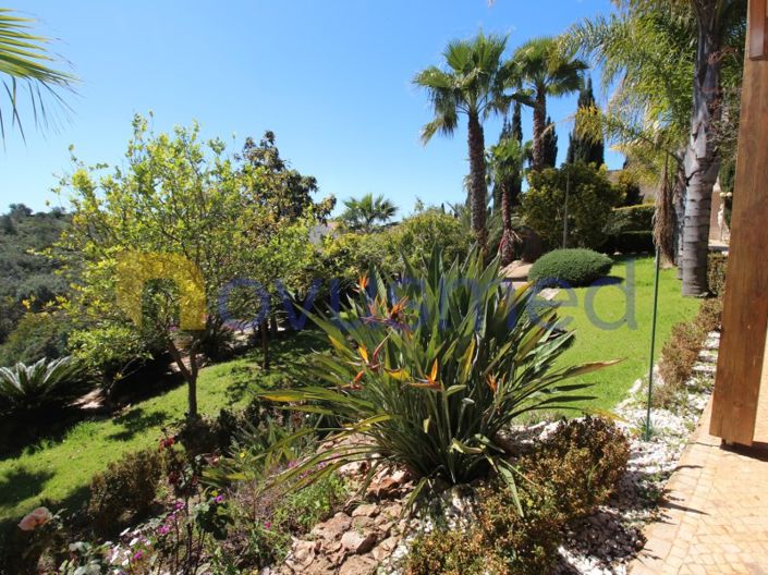 Image No.39-4 Bed House for sale