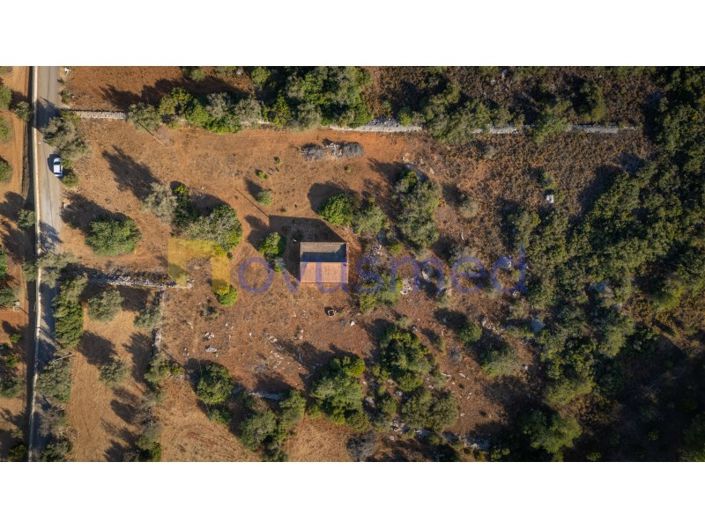 Image No.11-3 Bed House for sale