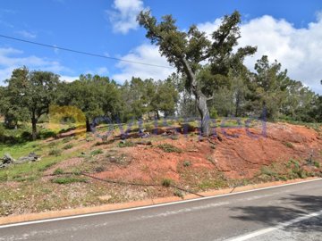 id62729101-0000-0500-0000-000014da77d9