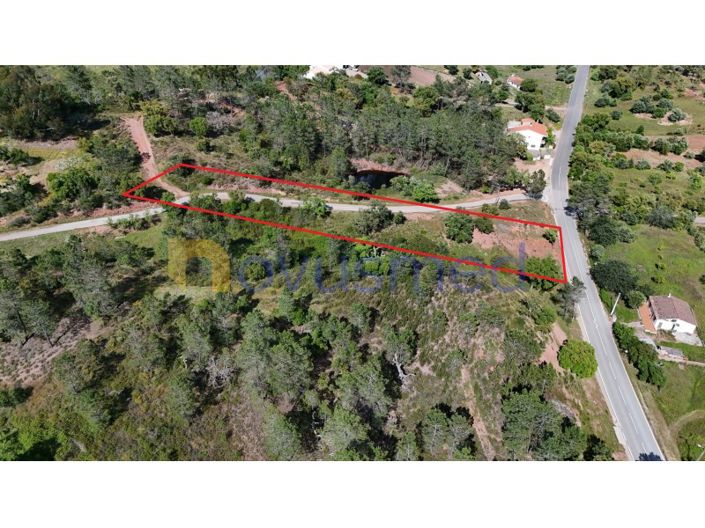 Image No.3-Plot for sale