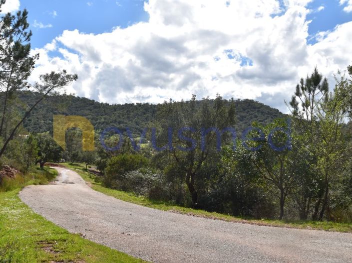 Image No.6-Plot for sale