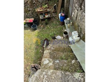 idf0f3c501-0000-0500-0000-0000190b7e5b