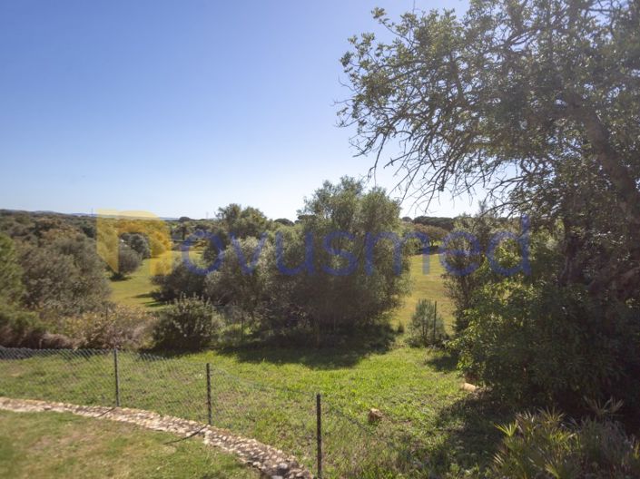 Image No.59-5 Bed House for sale