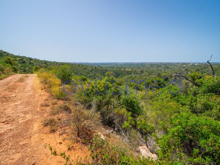 Image No.17-Plot for sale